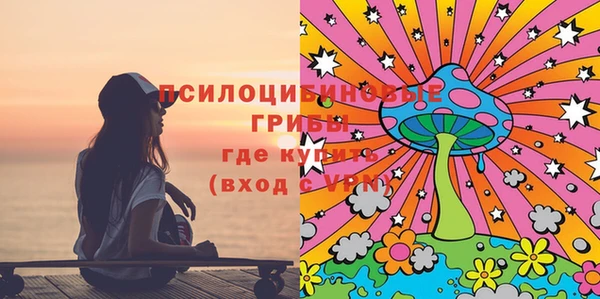 mix Богородицк